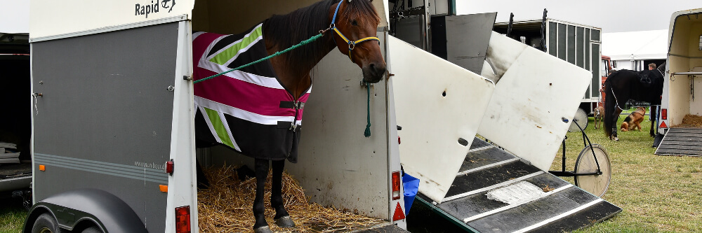 Gasfeder für Böckmann Pferdeanhänger