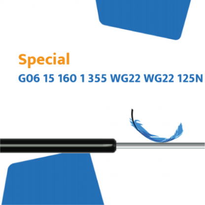 Hahn Gasfeder G6 15 160 1 355 WG22 WG22 125N
