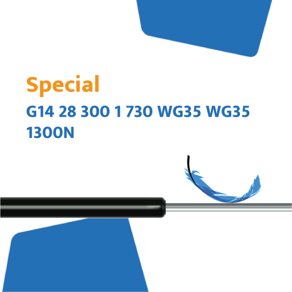 Hahn Gasfeder G14 28 300 1 730 WG35 WG35 1300N