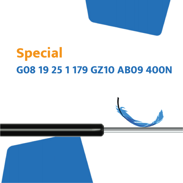 Hahn Gasfeder G8 19 25 1 179 GZ10 AB09 400N