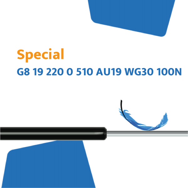 Hahn Gasfeder G8 19 220 0 510 AU19  WG30 100N