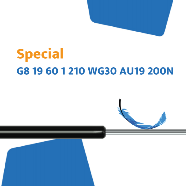 Hahn Gasfeder G8 19 60 1 210 WG30 AU19 200N